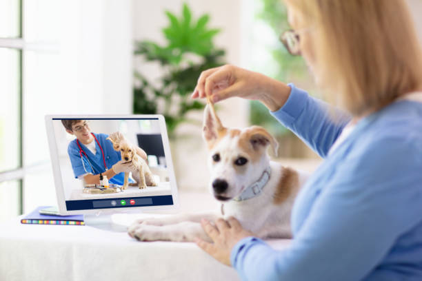 Virtual Vet Visits