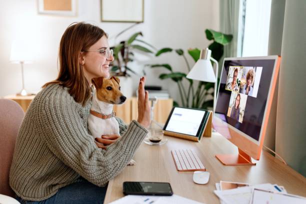 pet telehealth