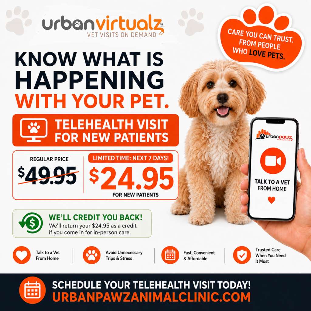Pet Telehealth Visit