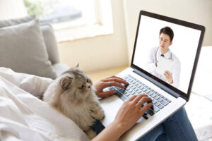 Pet Virtual Telehealth