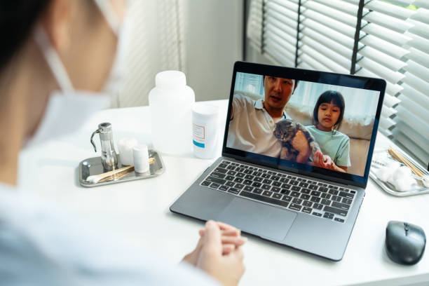 virtual vet appointment