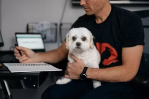 Dog acting strange should I call vet